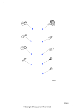 C2S15076 - Jaguar Direction indicator lamp bulb
