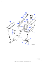 AGU1875 - Jaguar Nut