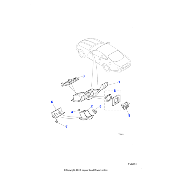 AGU1534 - Jaguar Nut