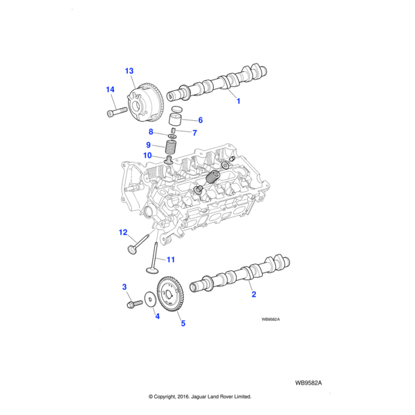 AJ810037 - Jaguar Camshaft sprocket