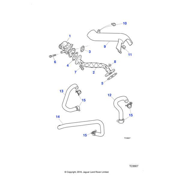 C2Z1856 - Jaguar Bolt