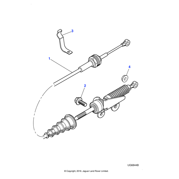 C2C10763 - Jaguar Bolt