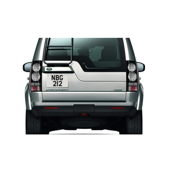 Discovery Rear Access Ladder