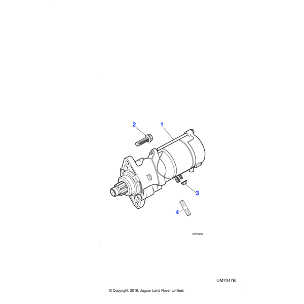 AJ810801 - Jaguar Stud