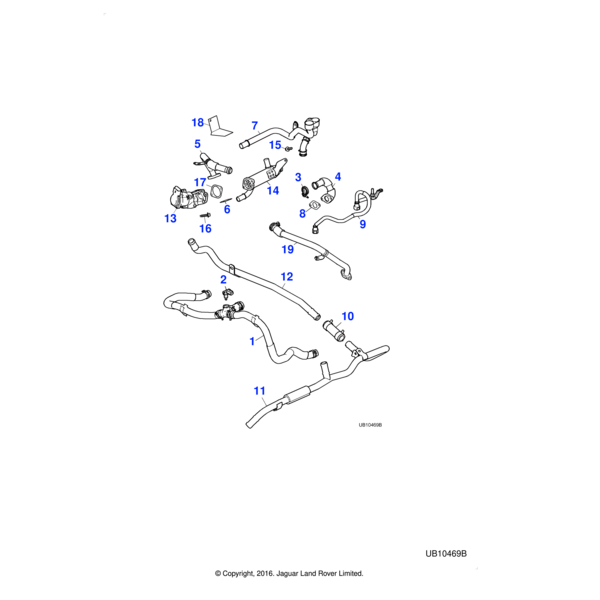AJ82253 - Jaguar Bolt