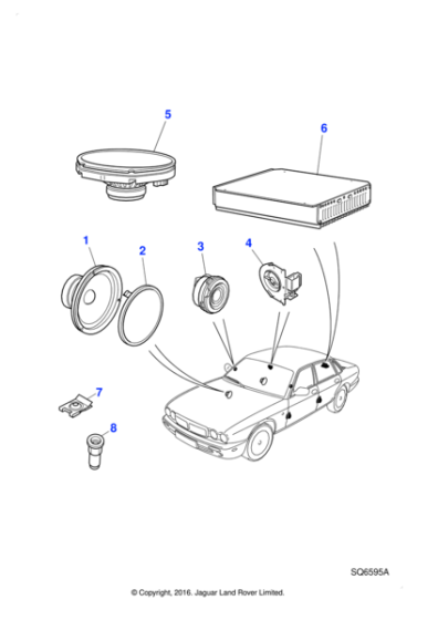BBC3242 - Jaguar Lokut nut