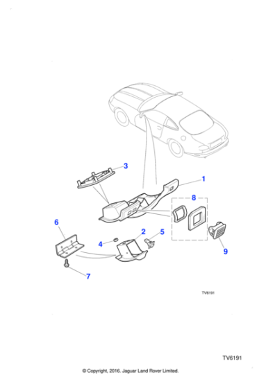 AGU1534 - Jaguar Nut