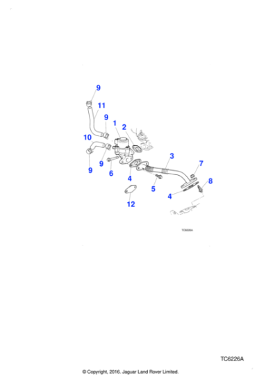C2C11500 - Jaguar Bolt
