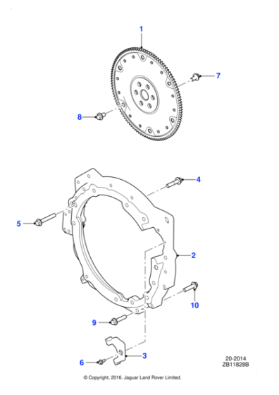 C2Z1376 - Jaguar Bolt
