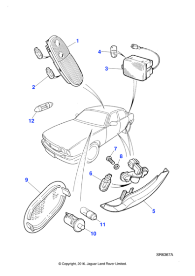 DBC11381 - Jaguar Bulb