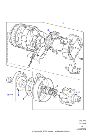 ERR2073 - Land Rover Belt-polyvee alternator