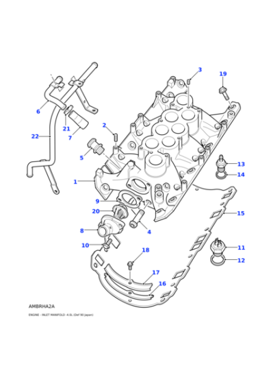 LKJ500020 - Land Rover Gasket-inlet manifold
