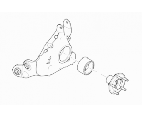 Hub And Carrier-Rear