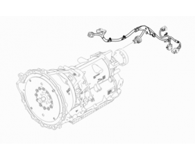 Power Train Harnesses