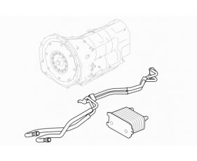Auto Trans Cooling / Modules / Sensors