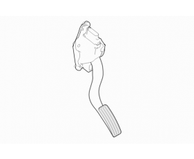 Accelerator / Injection Pump Controls