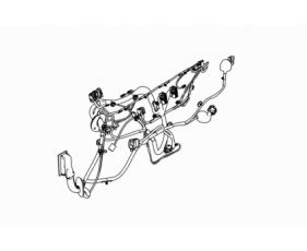 Occupant Compartment Harnesses