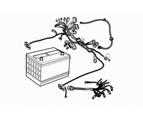 Batteries & Harnesses