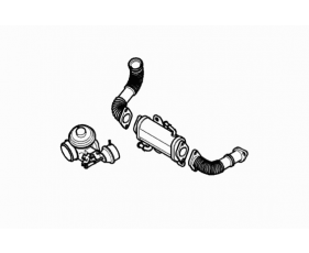 Exhaust Gas Recirculation