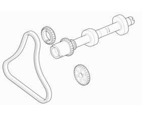 Timing Chains And Adjusters