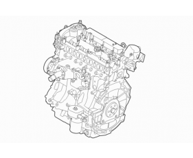Engine / Block, Heads & Manifolds