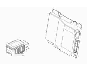 Dynamic Stability And Traction Control